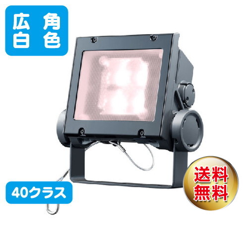 岩崎電気 ECF4040W/VWSAN8/DG (旧ECF0496VW/SAN8/DG) LED投光器 美vid レディオックフラッドネオ 40クラス 広角タイプ 白色タイプ